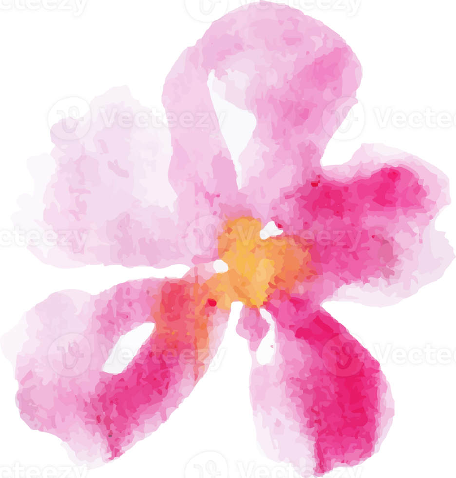 pink flower watercolor paint png