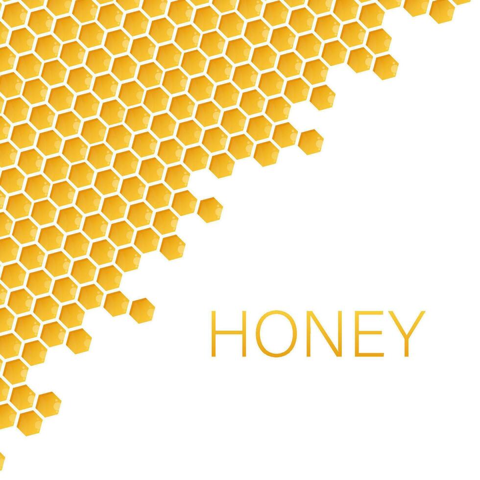 Honeycomb monochrome honey. Vector stock illustration