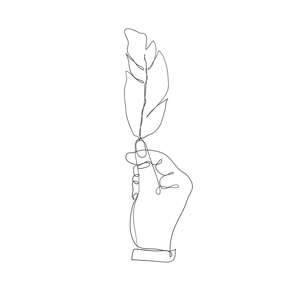 continuous line drawing bird feathers illustration vector