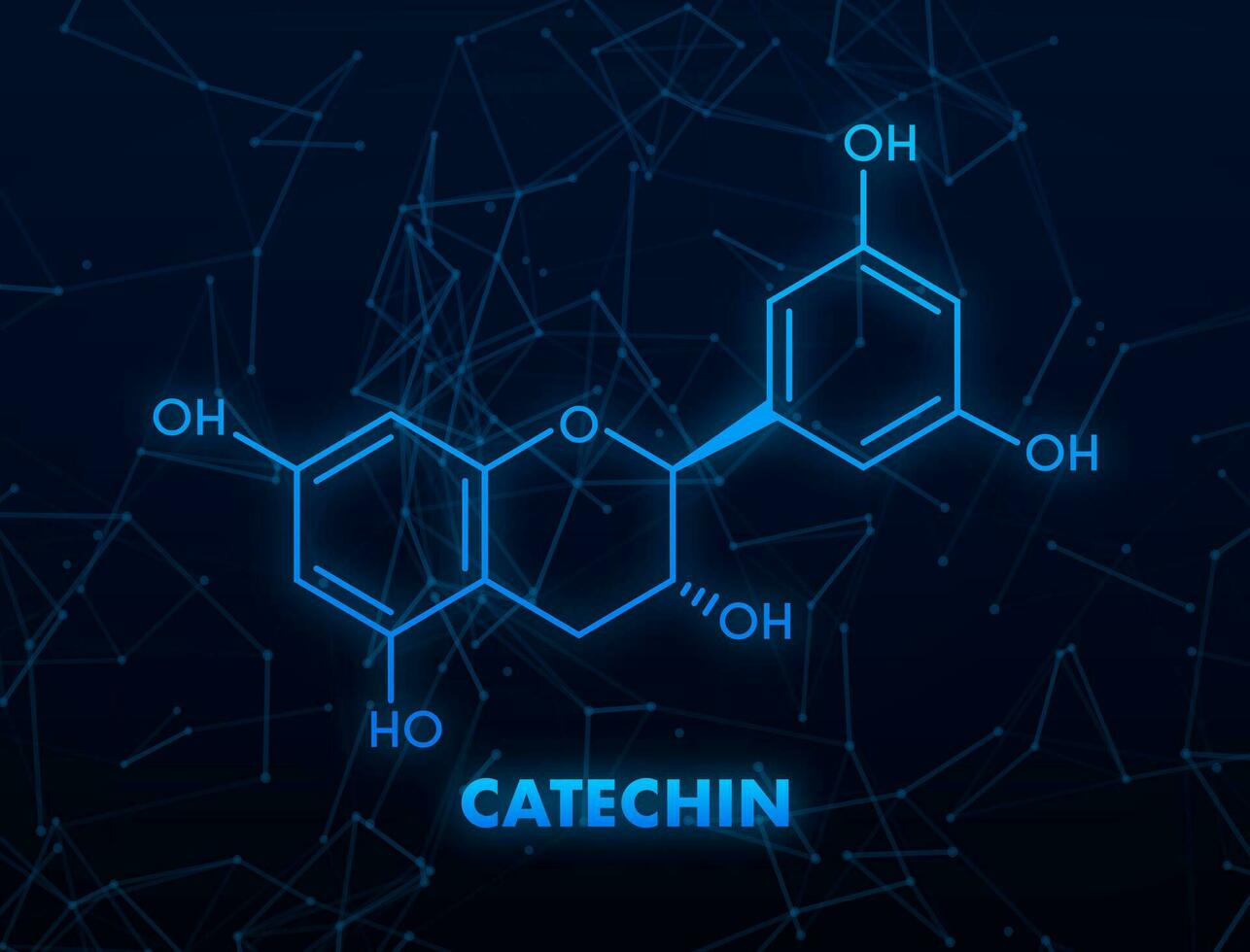 Catechin formula. Icon with green catechin formula. vector