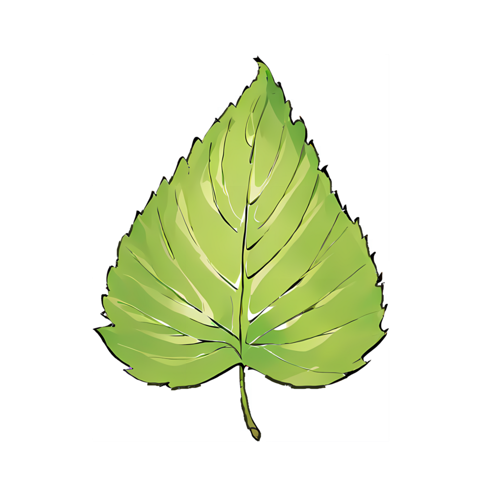 Single Leaf Hand Drawn Cartoon Style Illustration AI Generated png