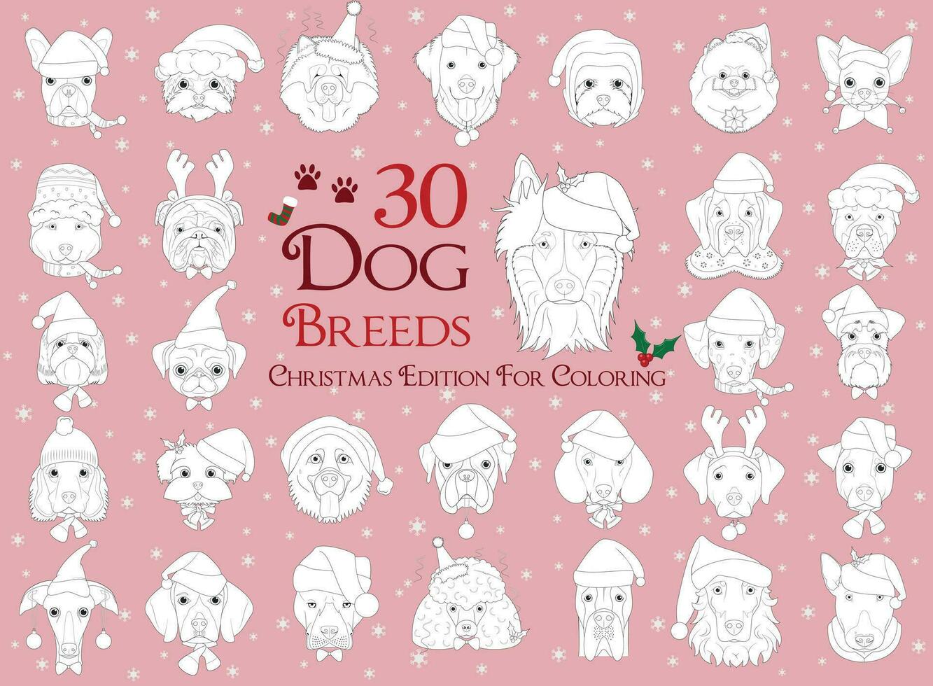 conjunto de 30 perro razas para colorante con Navidad y invierno temas vector