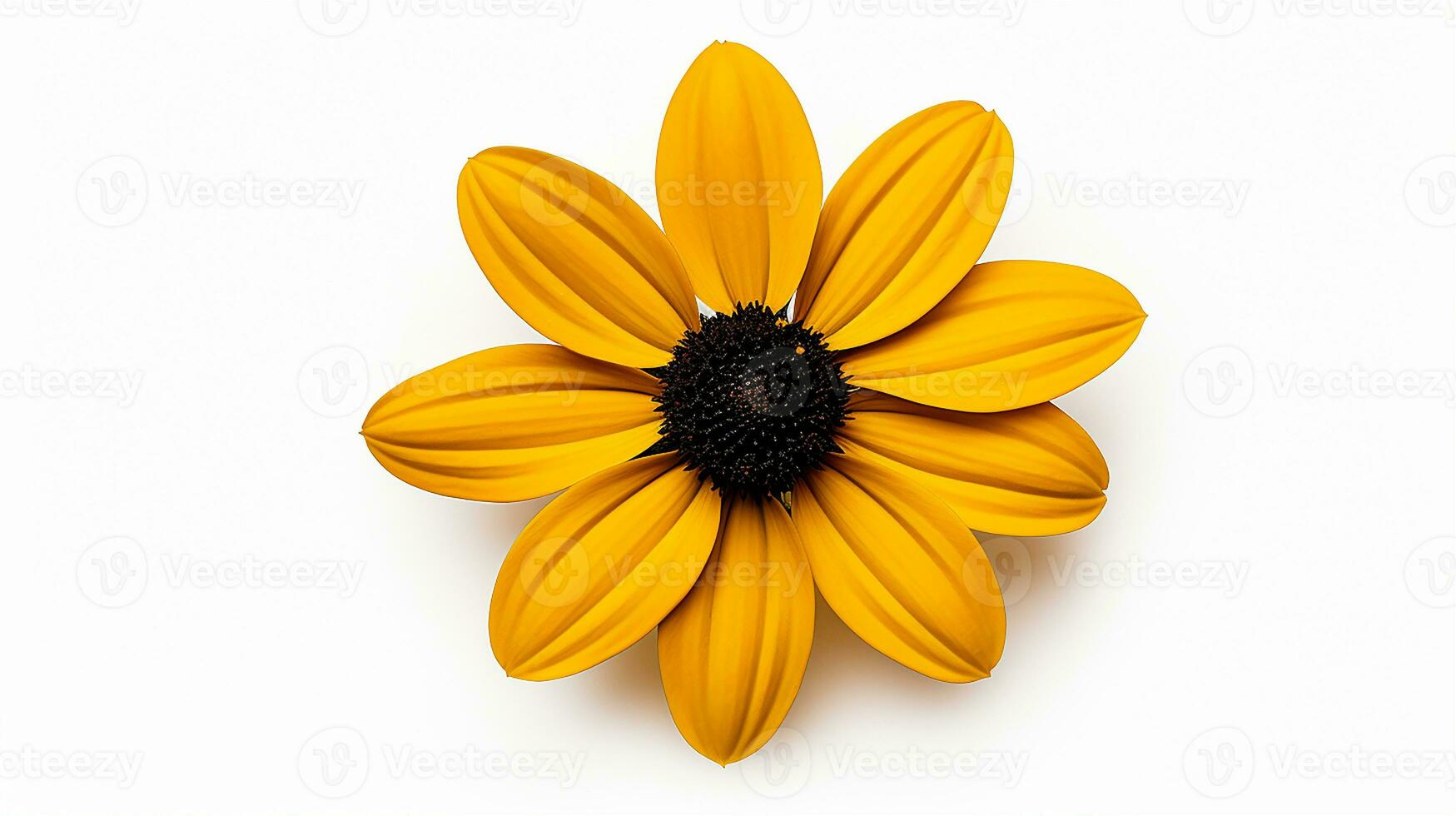 Photo of beautiful Black-Eyed Susan flower isolated on white background. Generative AI