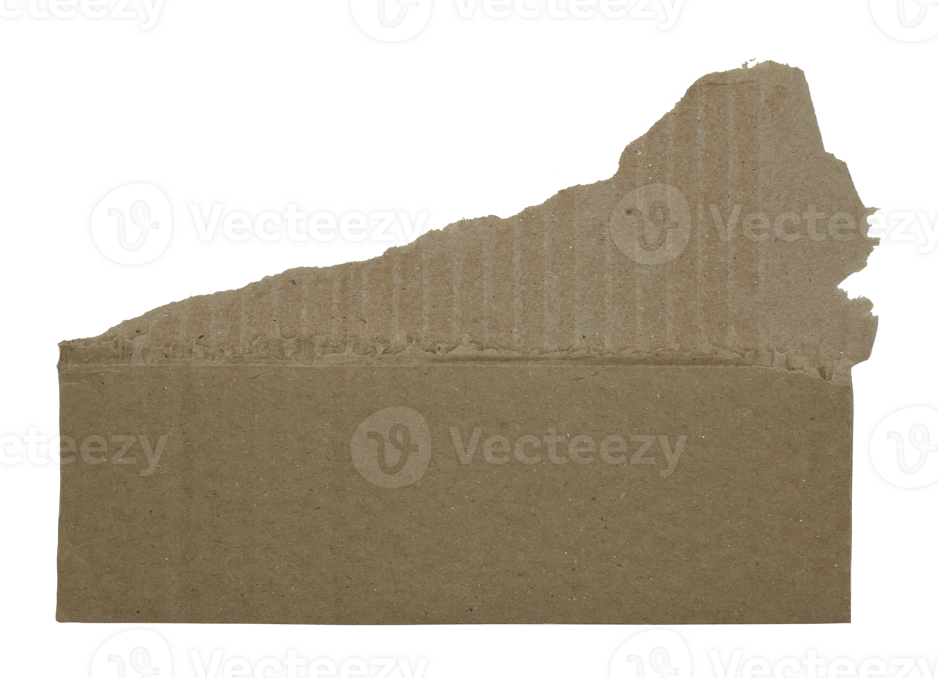 A sheet of corrugated paper is torn into pieces on transparent background png file