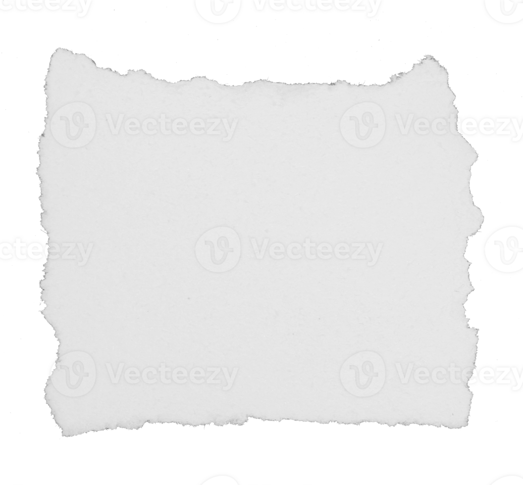 a sheet of paper torn to pieces on transparent background png file