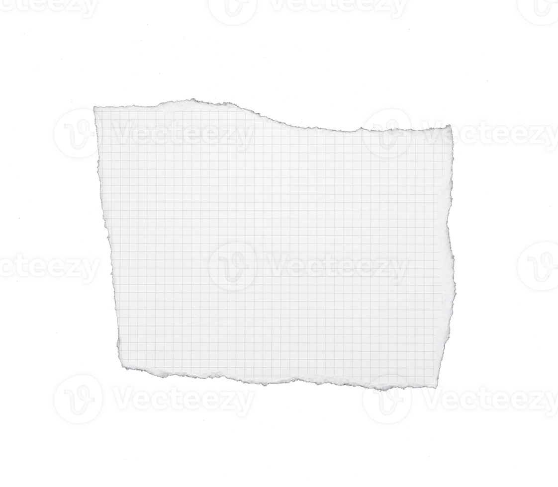 paper has grid lines torn into pieces on transparent background png file