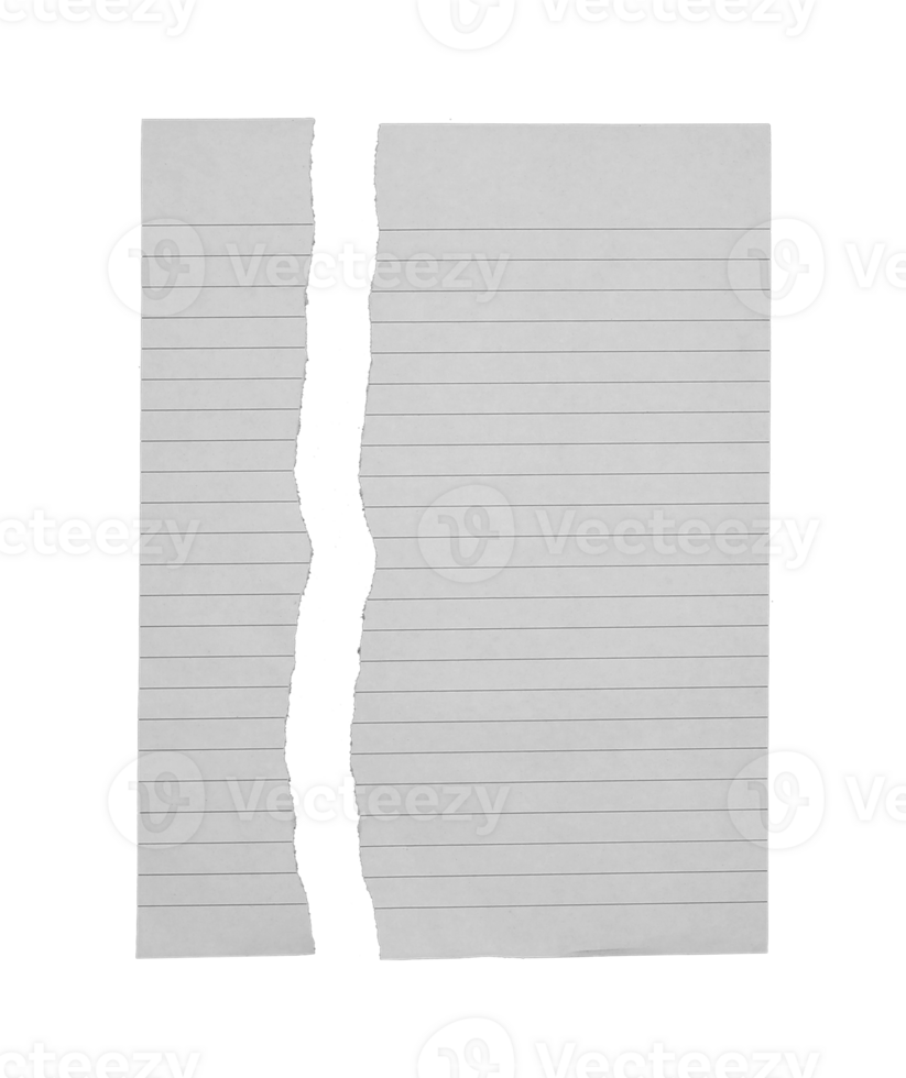 Paper has white torn lines on transparent background png file.