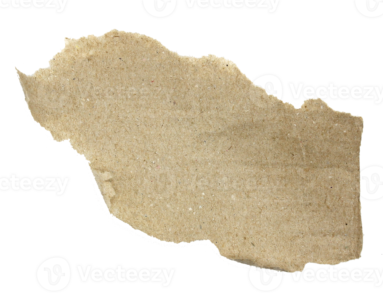 A sheet of corrugated paper is torn into pieces on transparent background png file