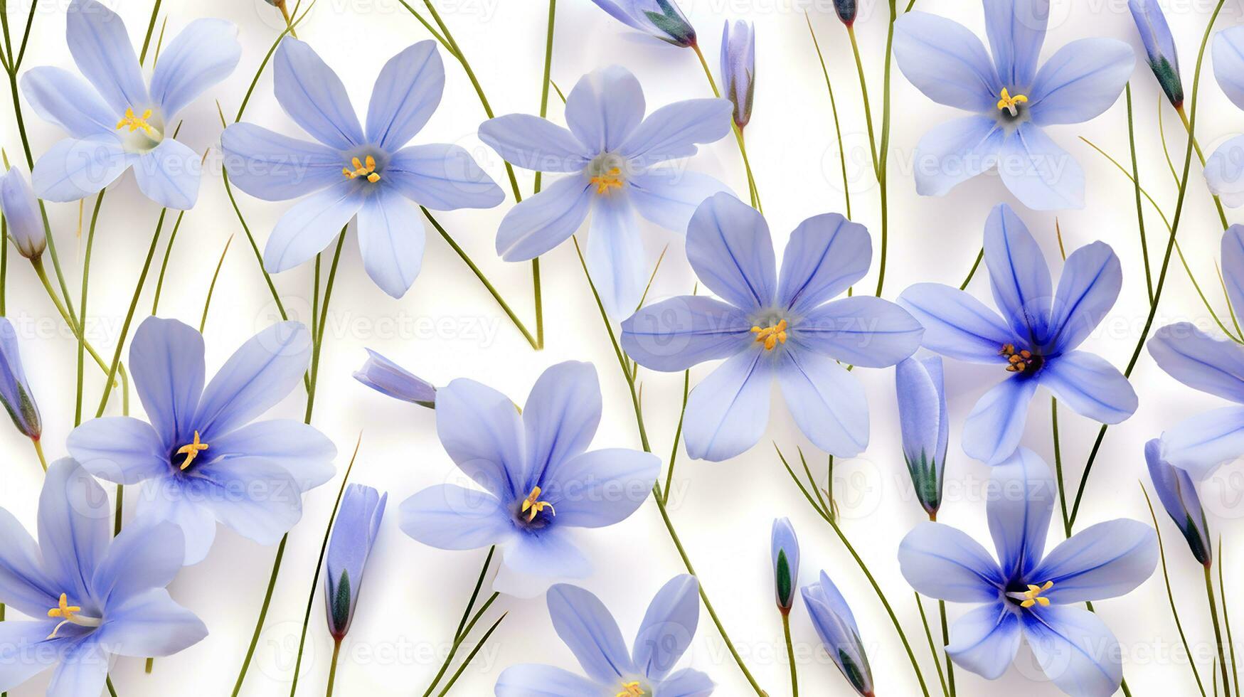 Blue Eyed Grass flower pattern background. Flower background texture. Generative AI photo