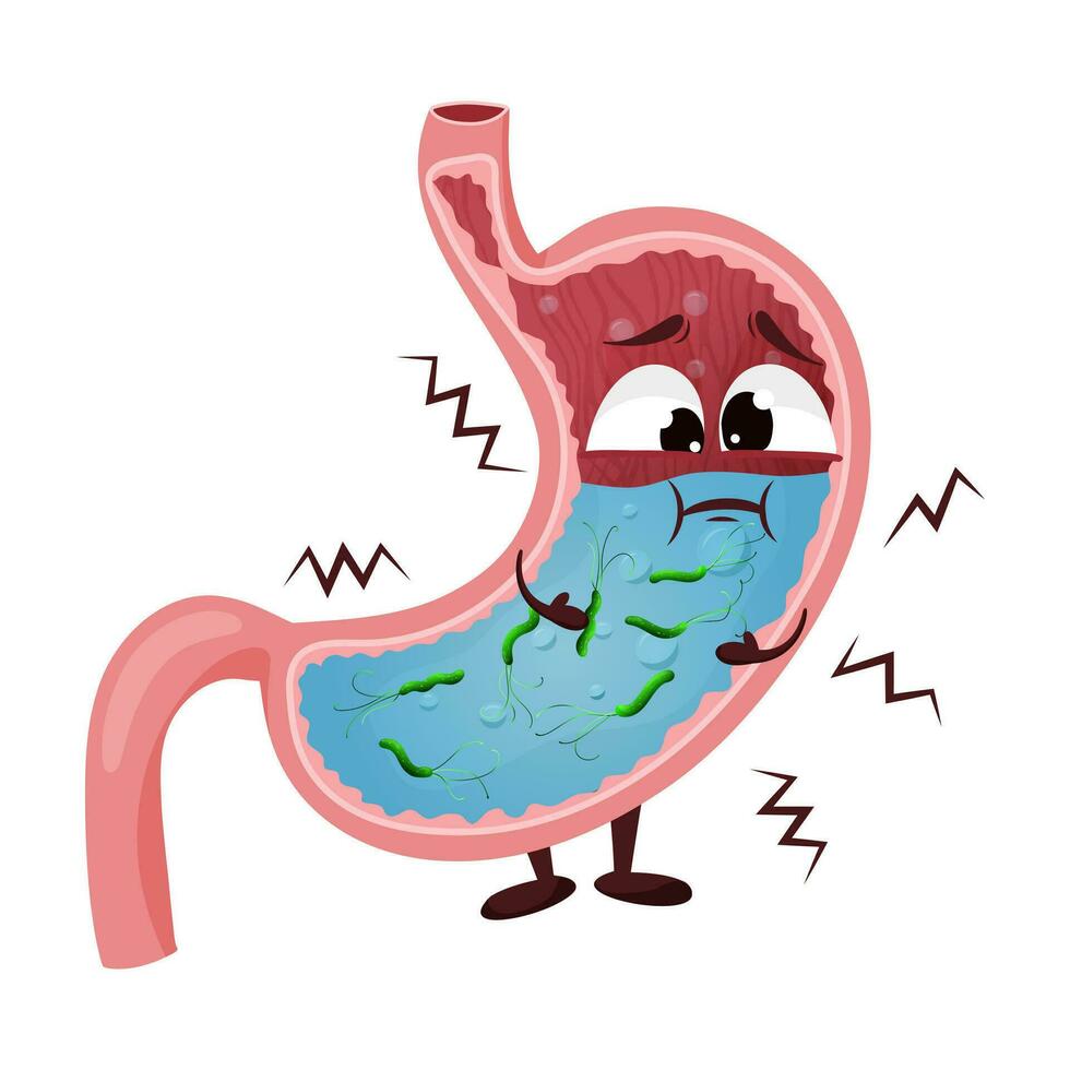 helicobacter pylori en dibujos animados estómago personaje vector