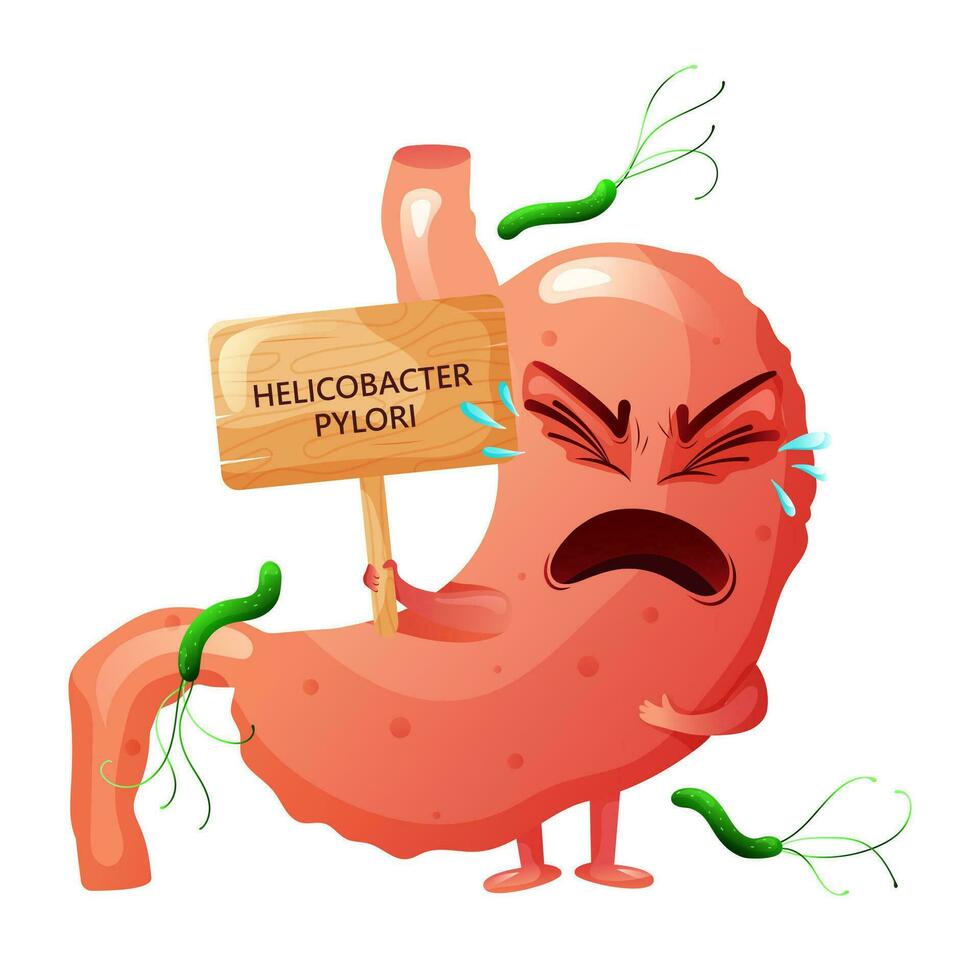 dibujos animados estómago personaje con Placa de nombre entre helicobacter pylori vector