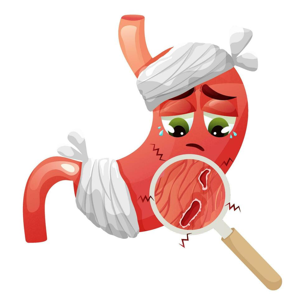 Stomach ulcers or erosions under magnification. Cute and sad stomach character with ulcers and bandage on face and body. Anatomical vector illustration