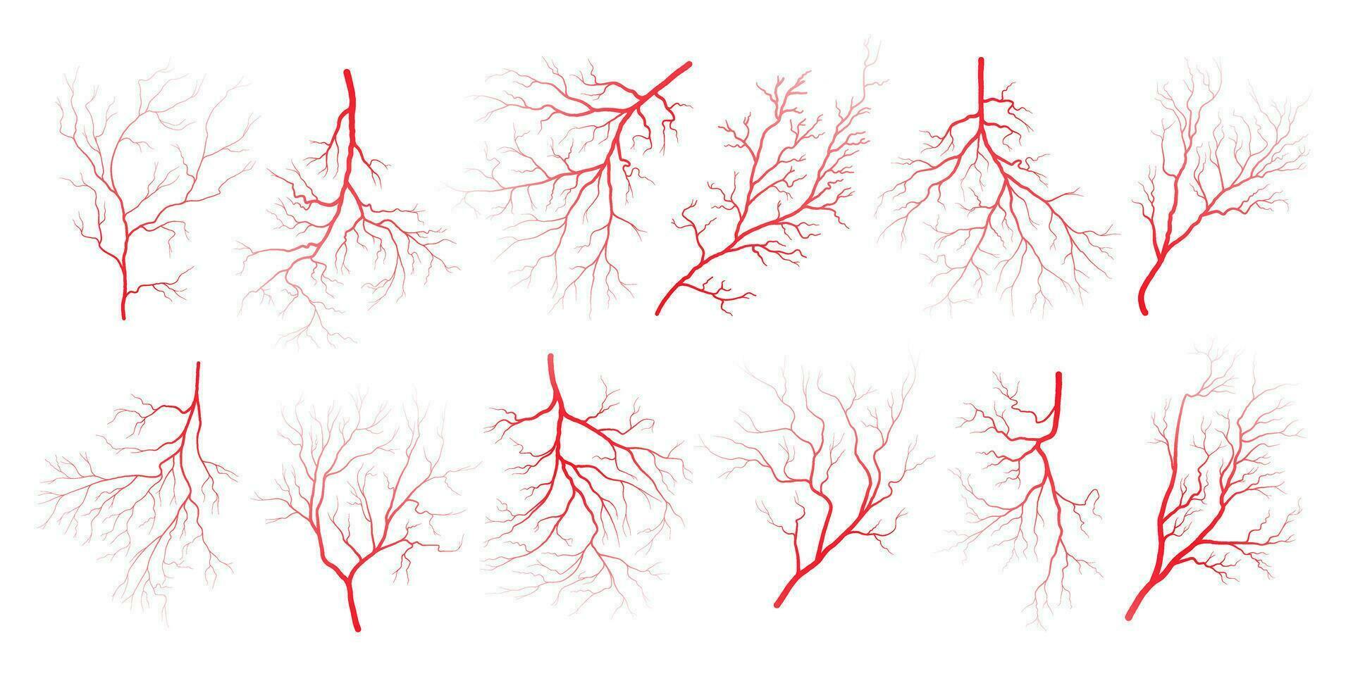 Human eye blood veins vessels silhouettes vector illustration set isolated on white background.