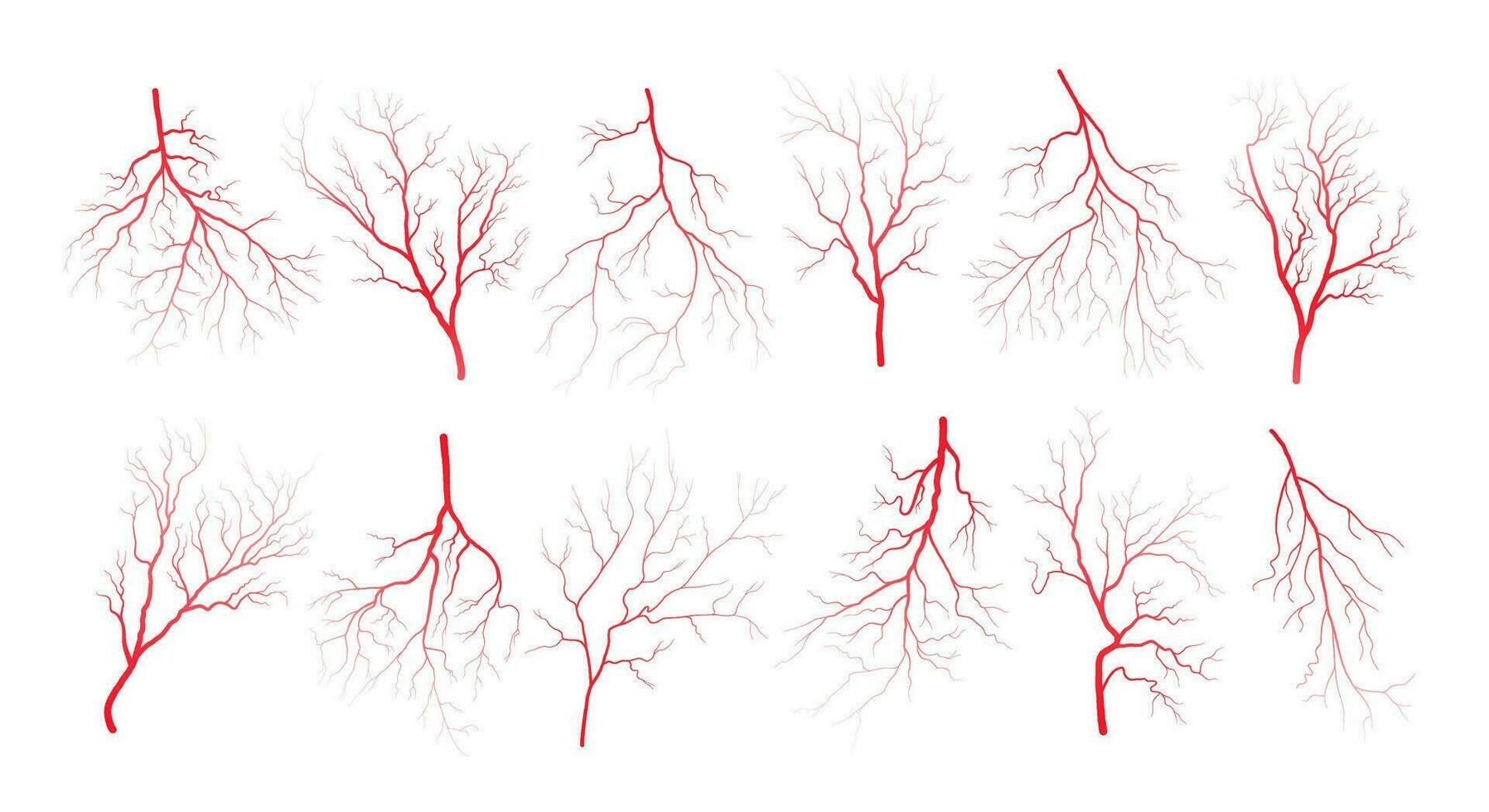Human eye blood veins vessels silhouettes vector illustration set isolated on white background.