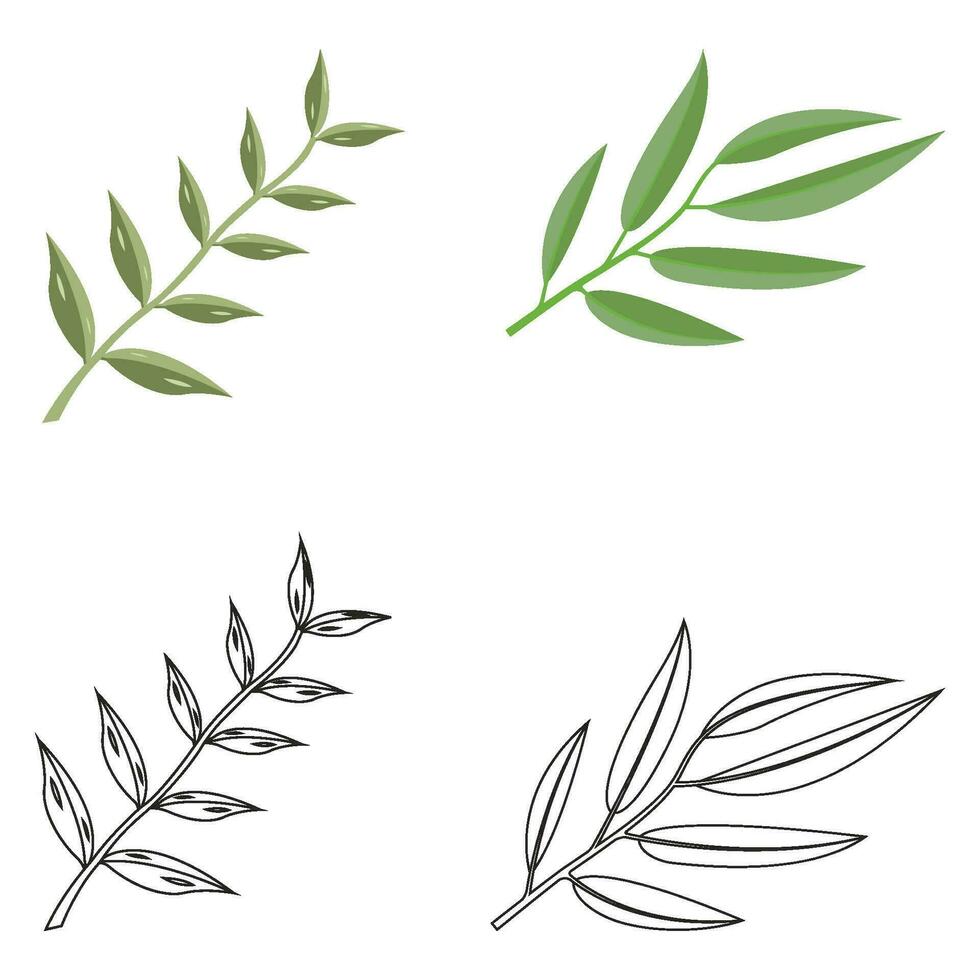 Eucalyptus oil leaf icon vector