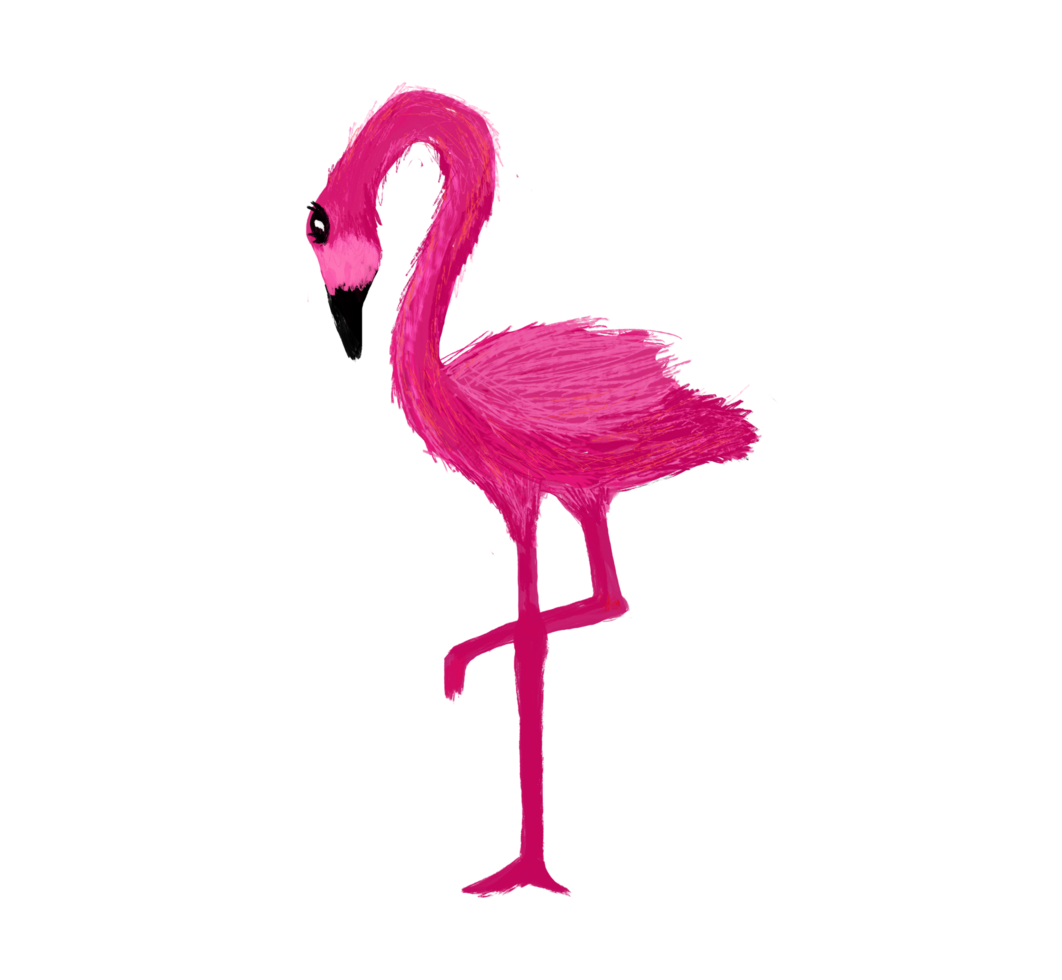 pink flamingo bird 29894425 PNG