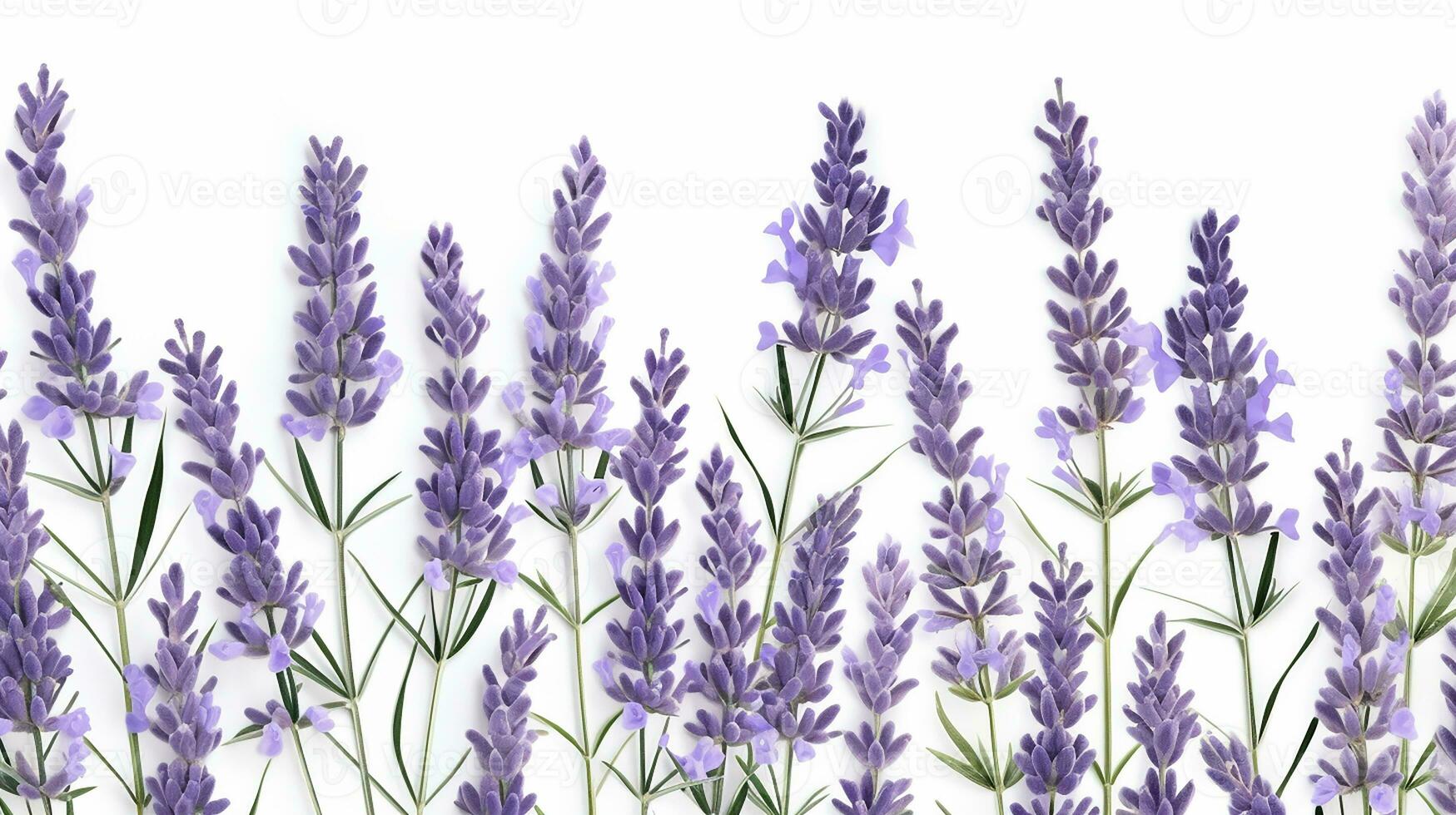 Lavender flower patterned background. Flower texture background. Generative AI photo