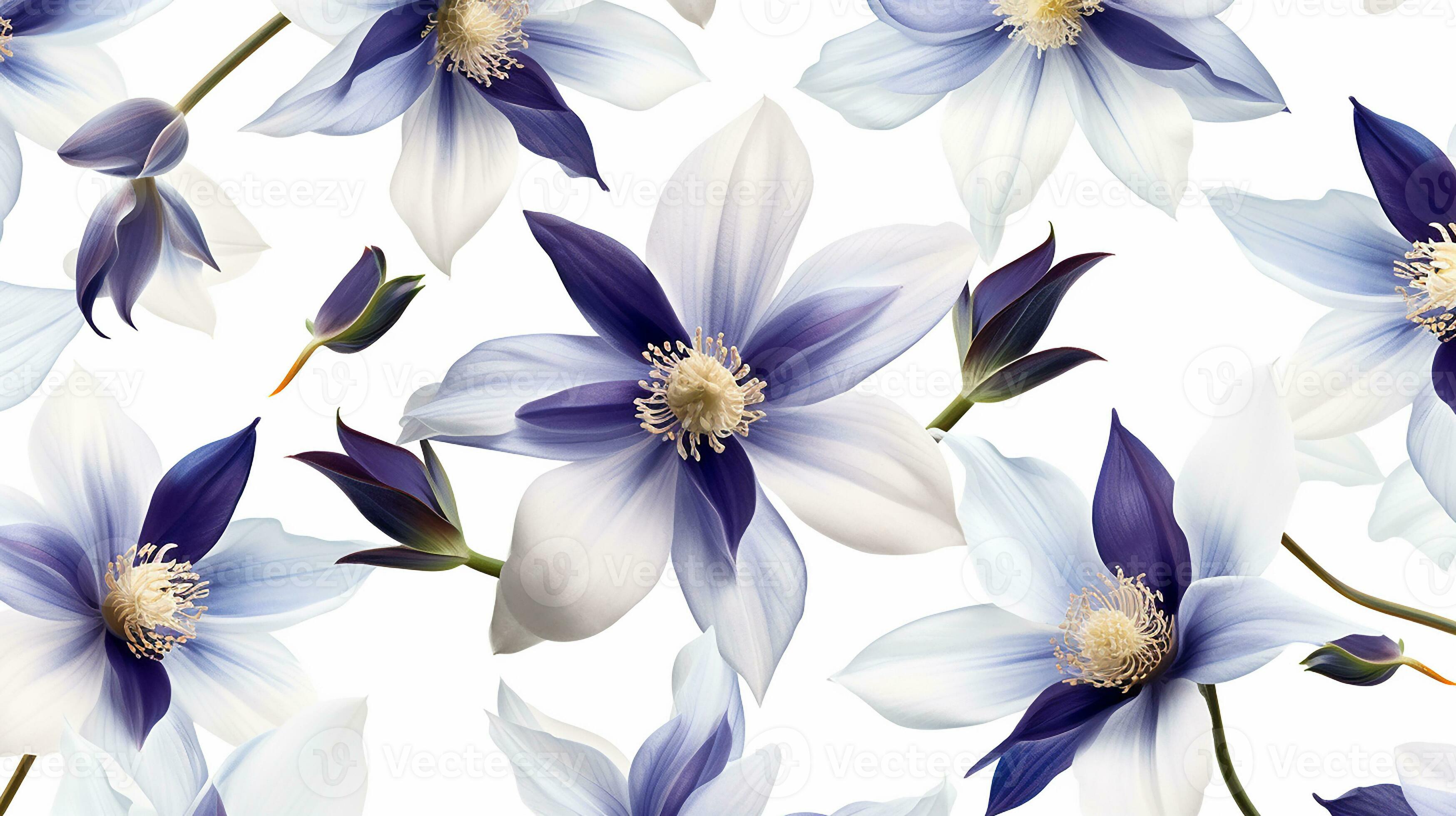 Columbine flower patterned background. Flower texture background
