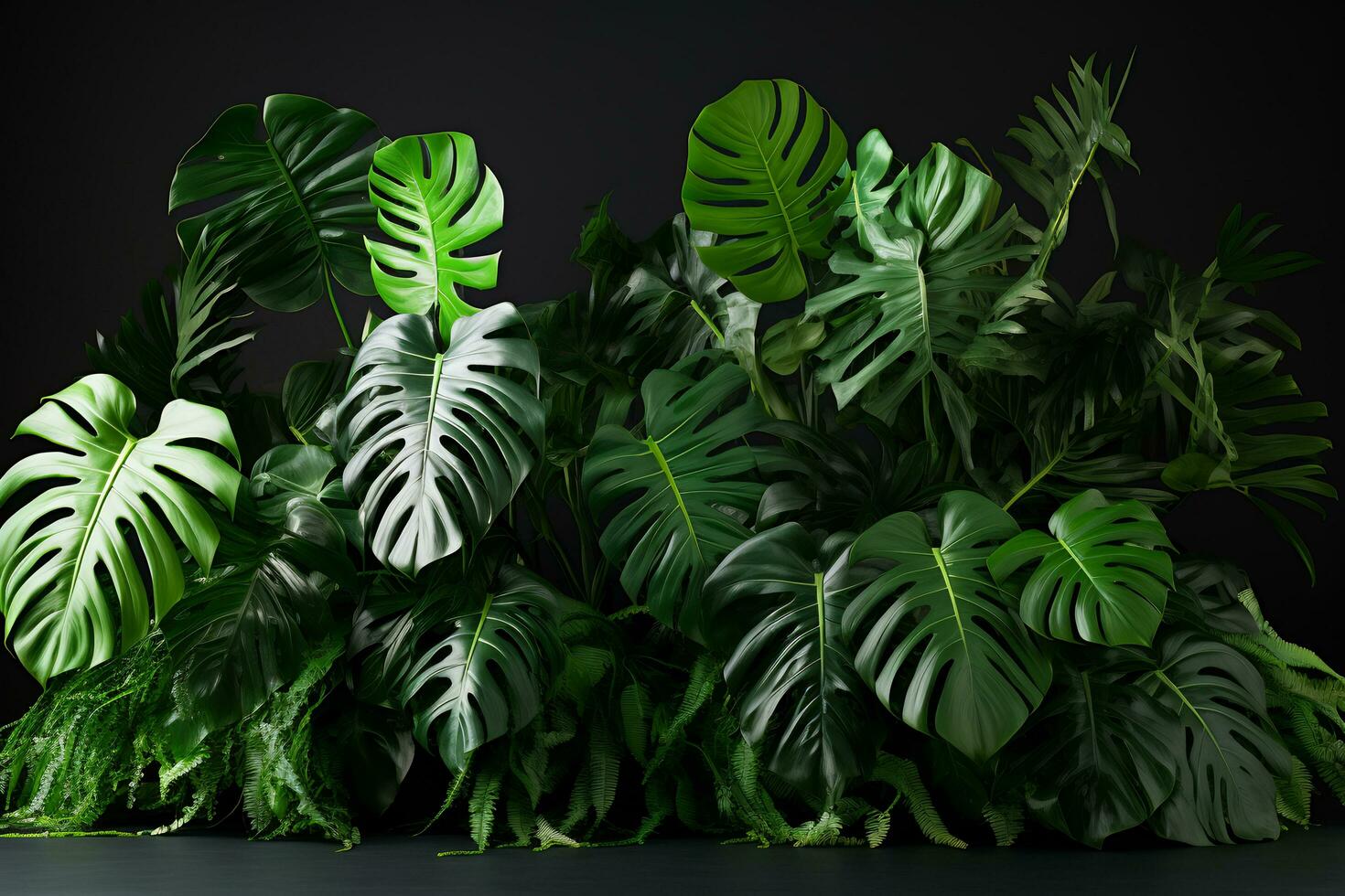 imagen de el lozano y exótico belleza de monstera plantas foto