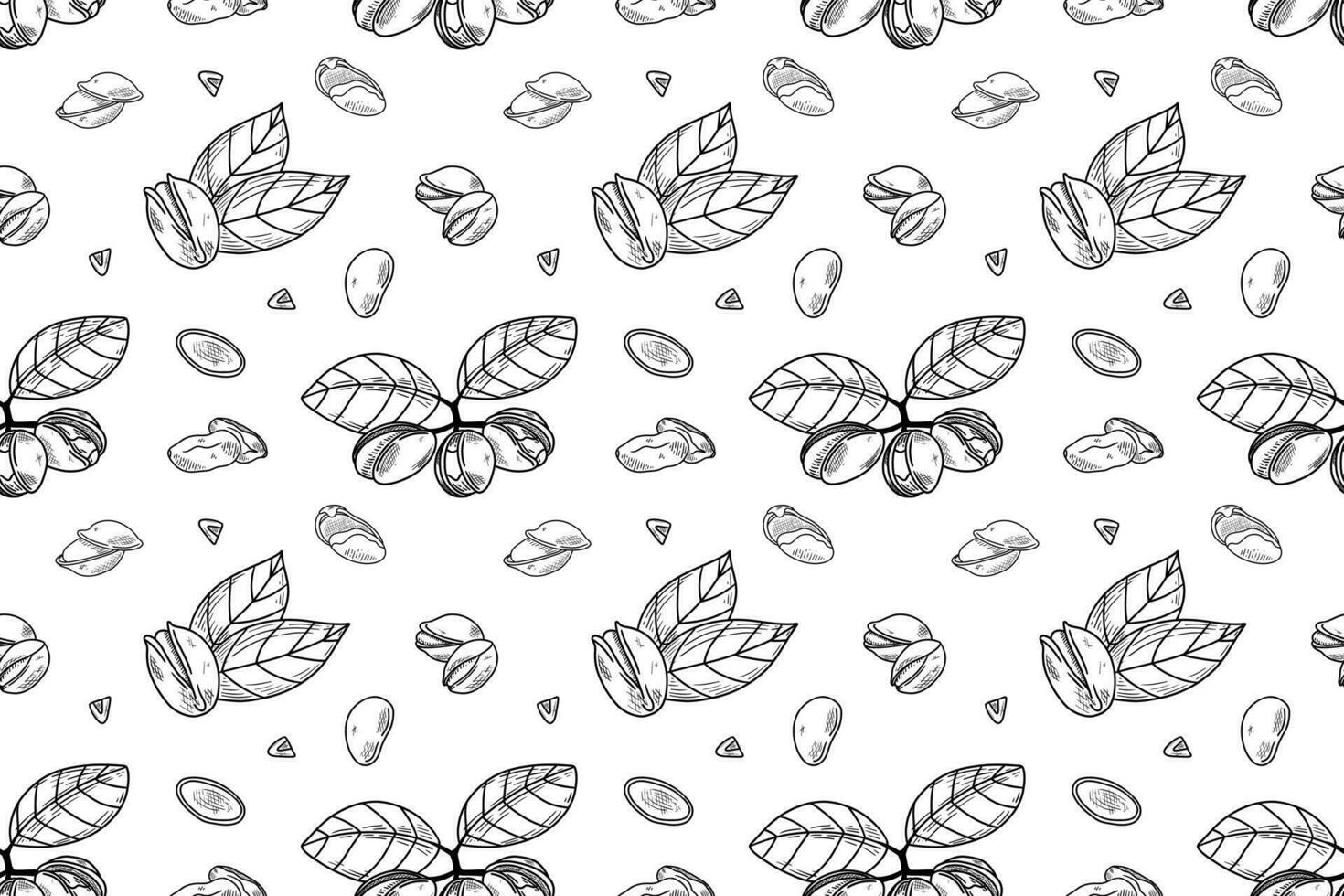 Pistachio nuts seamless pattern. Vintage sketch design. Organic food illustration. Natural nutshell snack background. Vegetarian retro wallpaper. Decorative botany vector illustration in sketch style