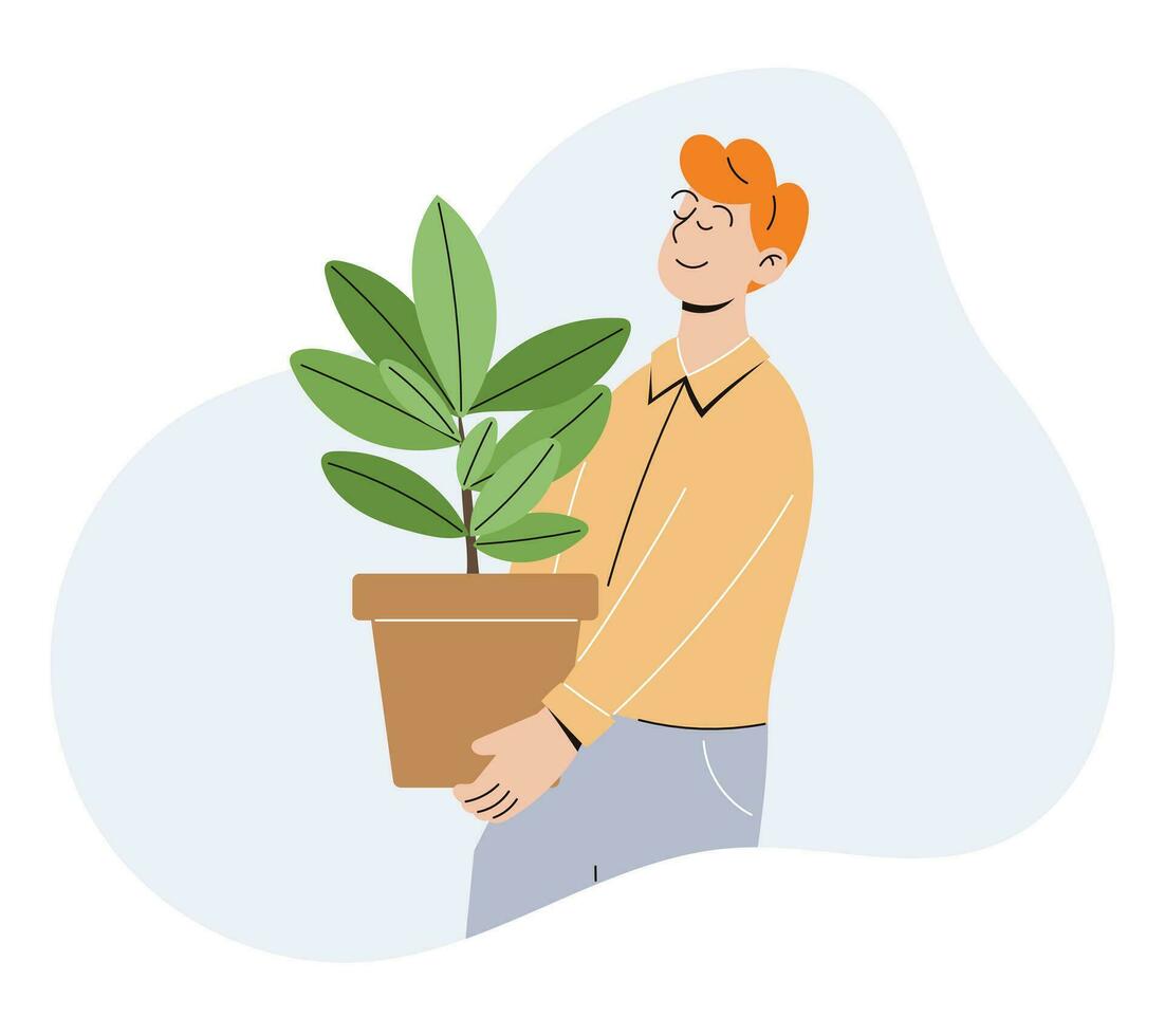 joven hombre que lleva un maceta de ficus. vector chico comprometido en creciente plantas, plano estilo.