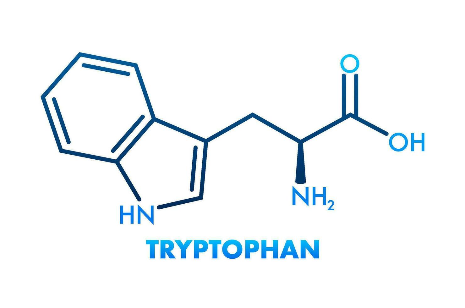 Tryptophan formula. Tryptophan or l tryptophan, Trp, W amino acid molecule. vector