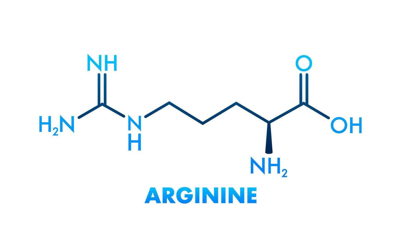 Arginine, great design for any purposes. Doodle vector illustration.