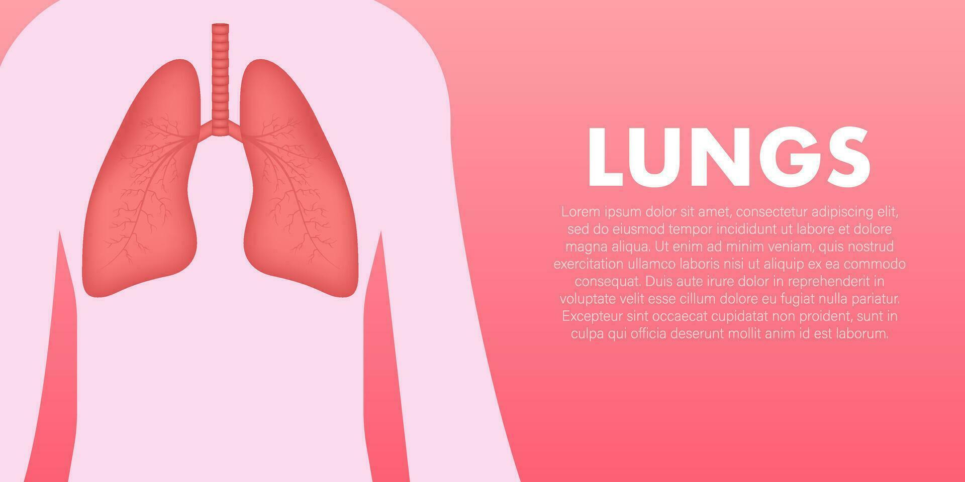 Lungs, great design for any purposes. Cartoon illustration. Simple vector illustration.