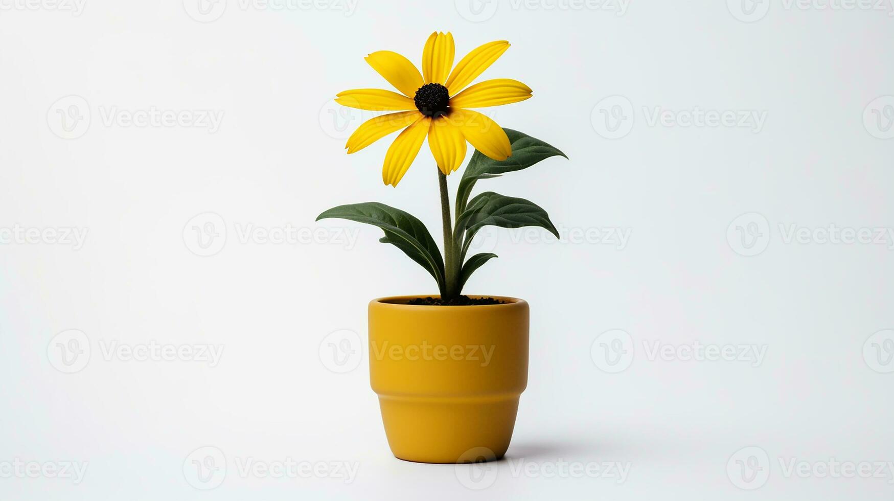 foto de ojos negro Susan flor en maceta aislado en blanco antecedentes. generativo ai