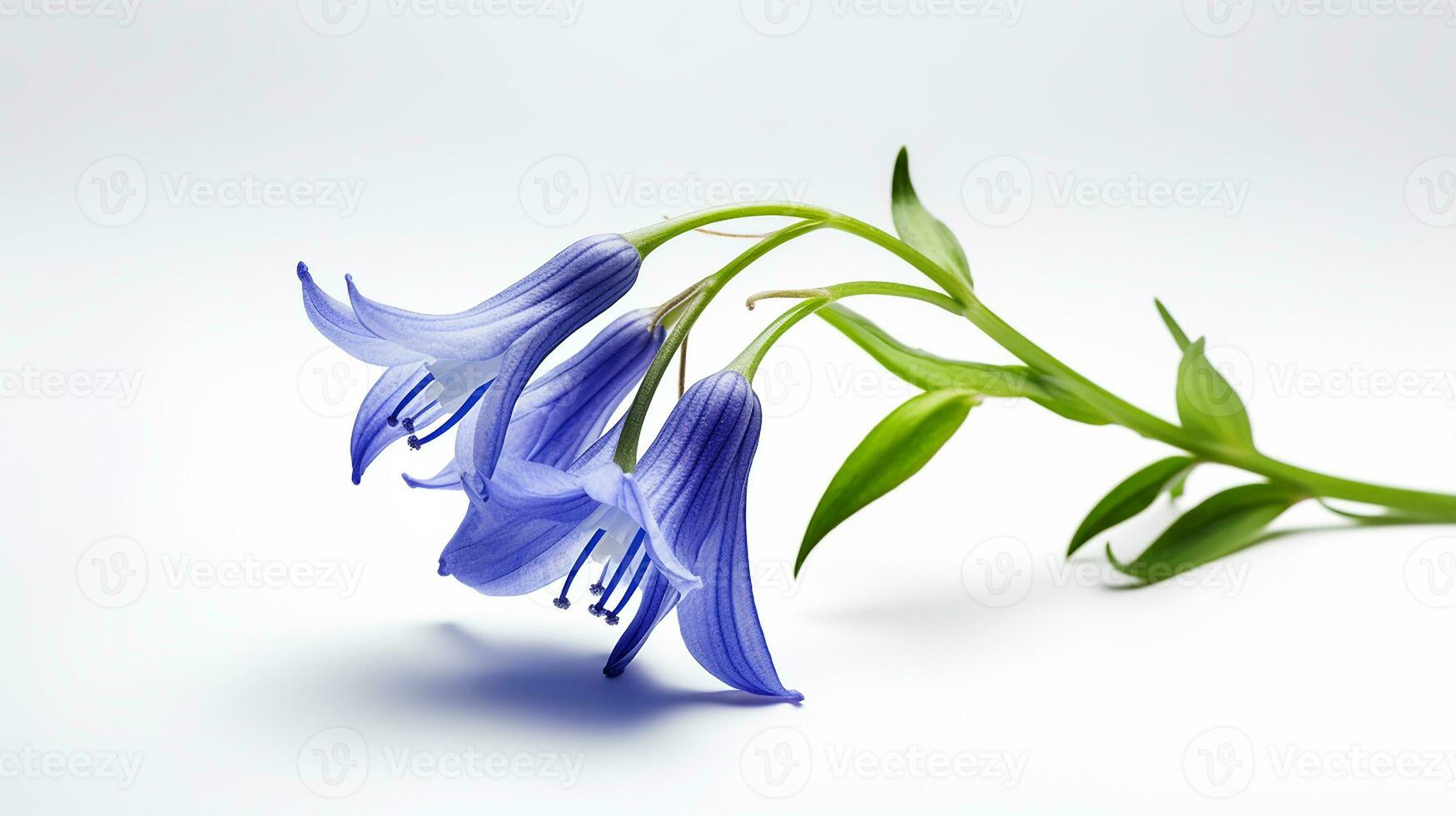 Photo of beautiful Bluebell flower isolated on white background. Generative AI