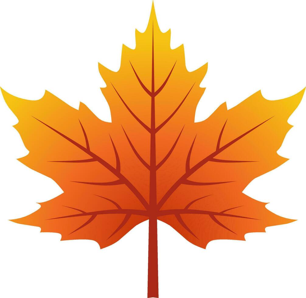 Maple leaf vector icon for autumn celebration. Fall season maple icon for cozy or hygge design graphic. Autumn leaf vector for symbol, sign, decoration or graphic resource. Mid autumn festival icon