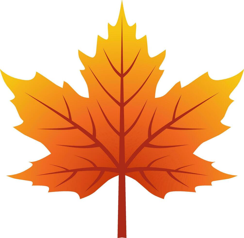 Maple leaf vector icon for autumn celebration. Fall season maple icon for cozy or hygge design graphic. Autumn leaf vector for symbol, sign, decoration or graphic resource. Mid autumn festival icon