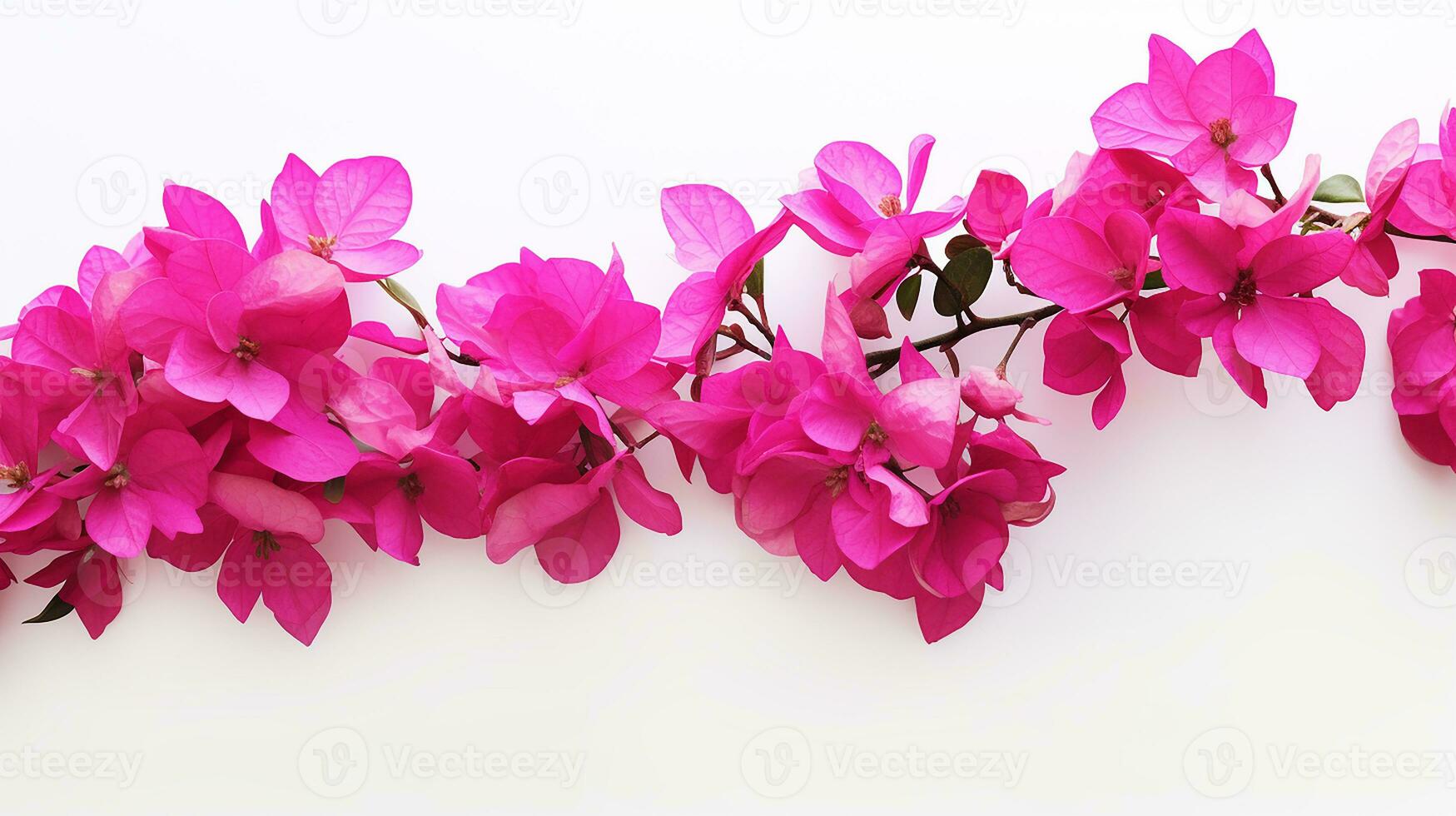 Photo of beautiful Bougainvillea flower isolated on white background. Generative AI