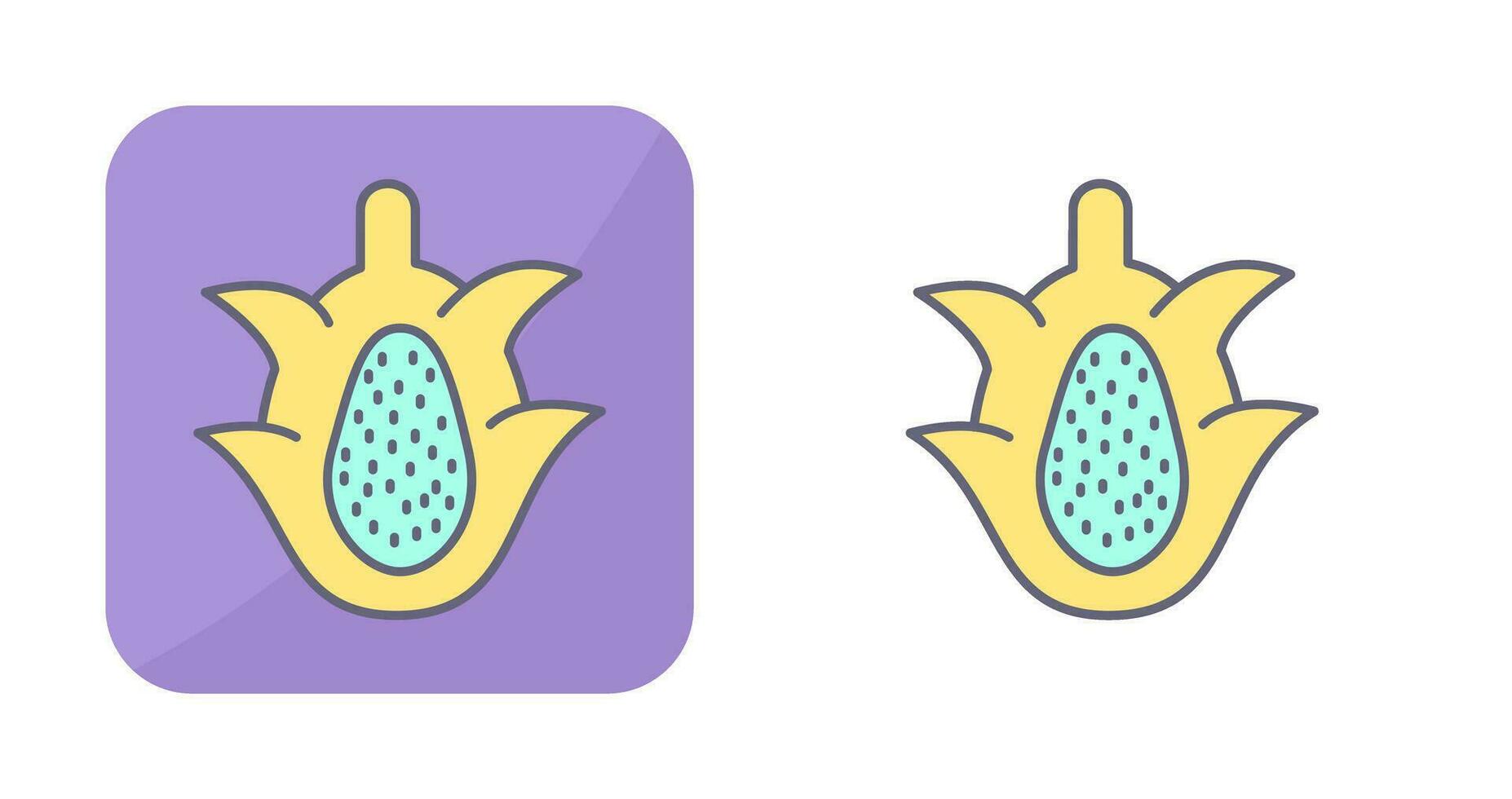 Dragon Fruit Vector Icon