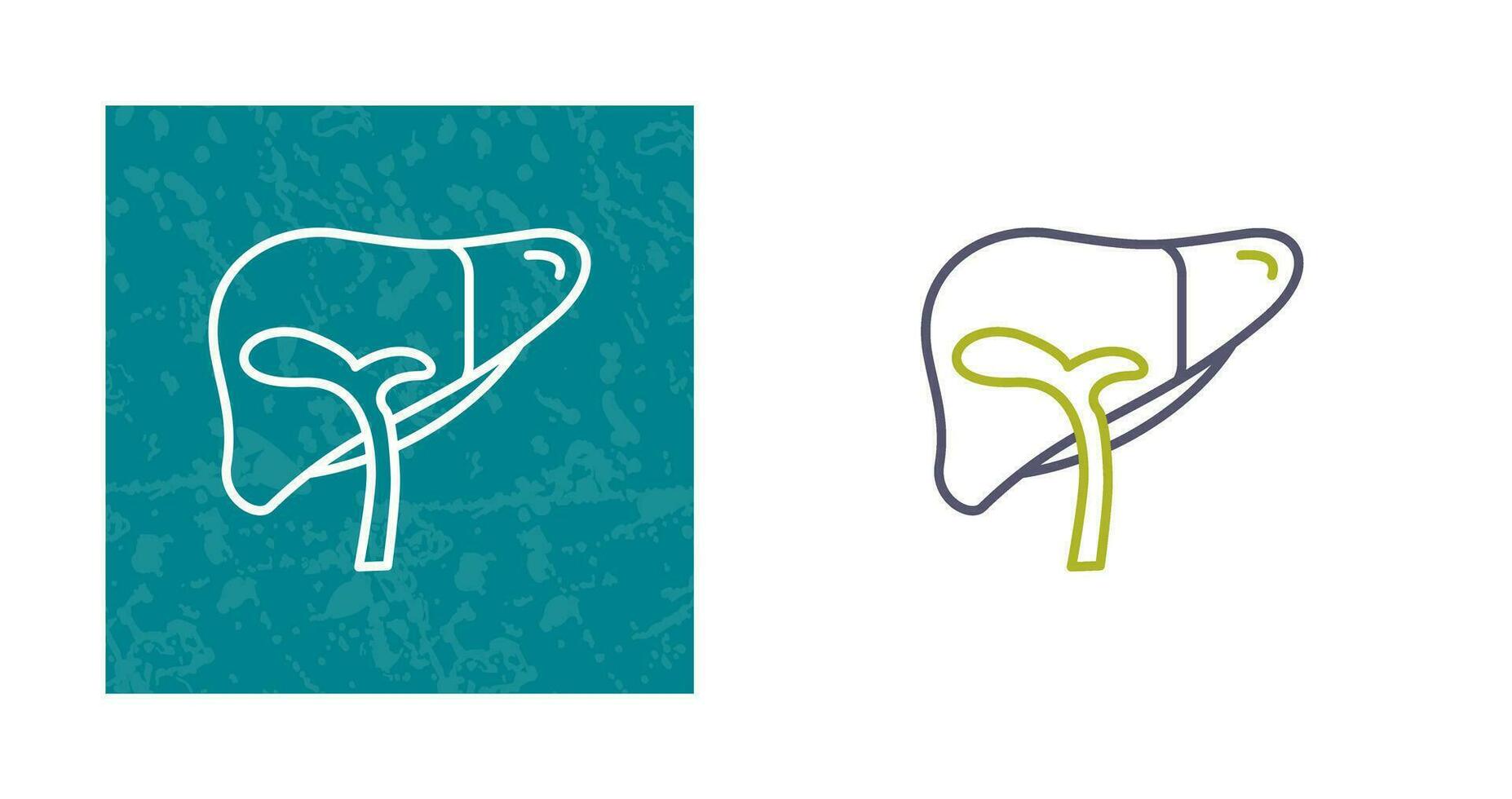 Liver Vector Icon