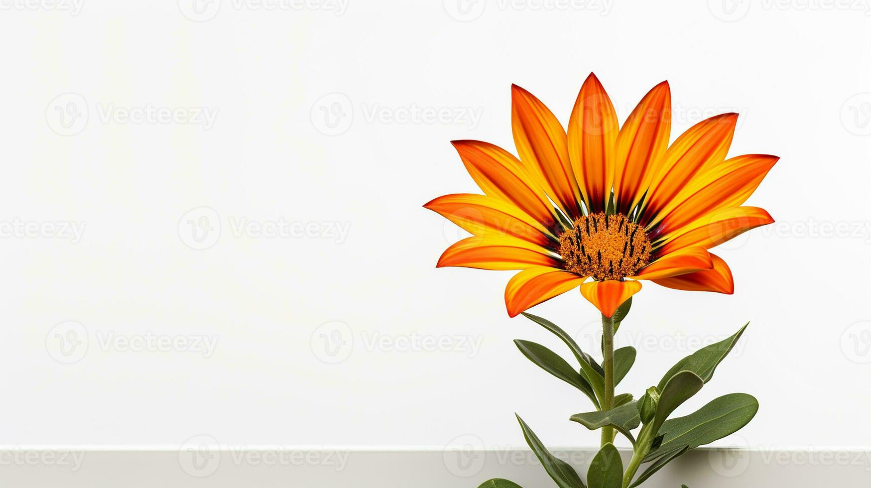 foto de hermosa gazania flor aislado en blanco antecedentes. generativo ai