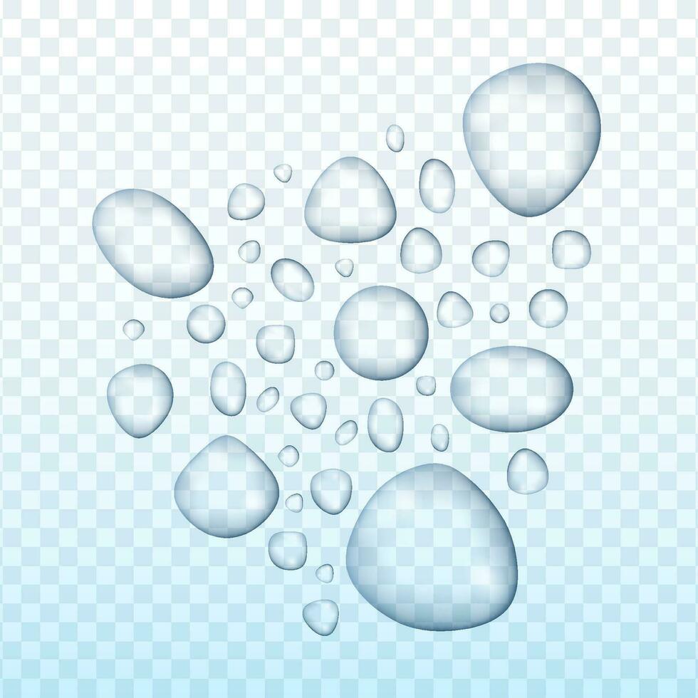 Transparent water drop on light gray background. Vector stock illustration