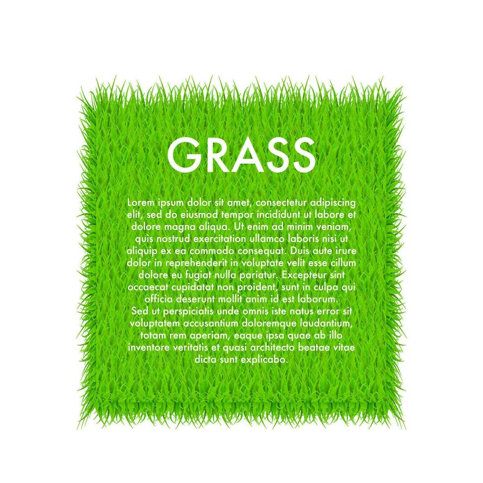 Circle With Grass, Green grass background. Frame. Vector stock Illustration