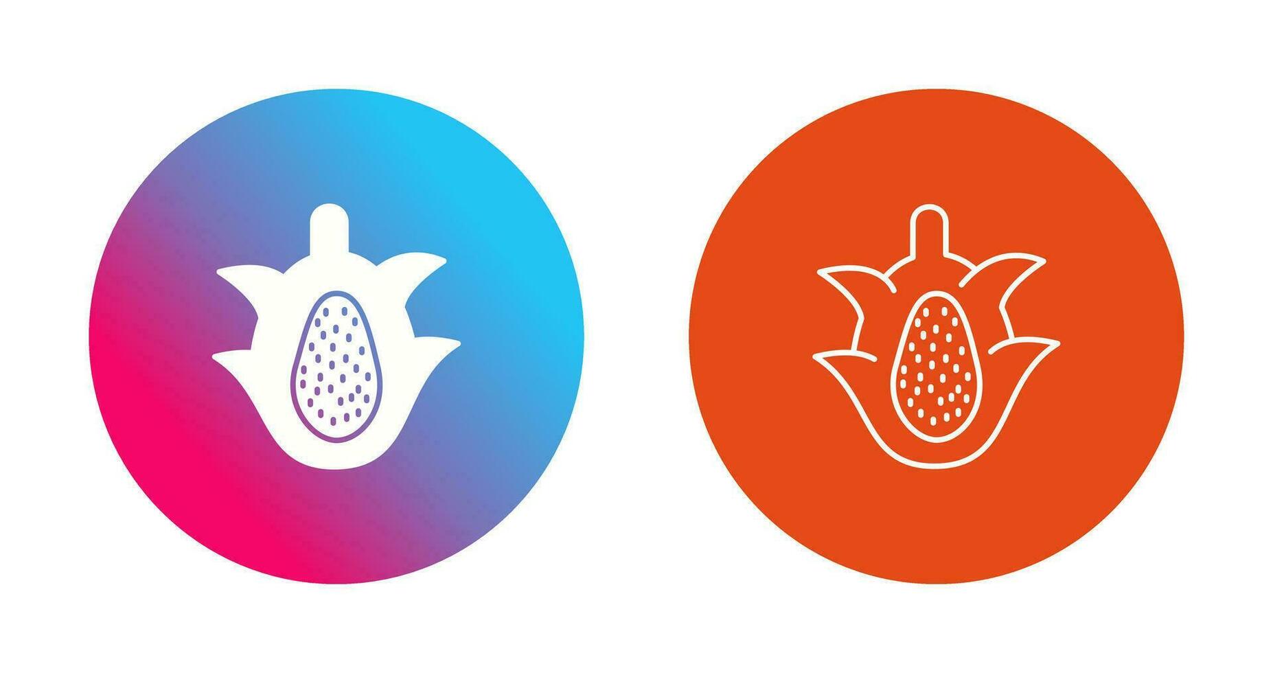 icono de vector de fruta de dragón