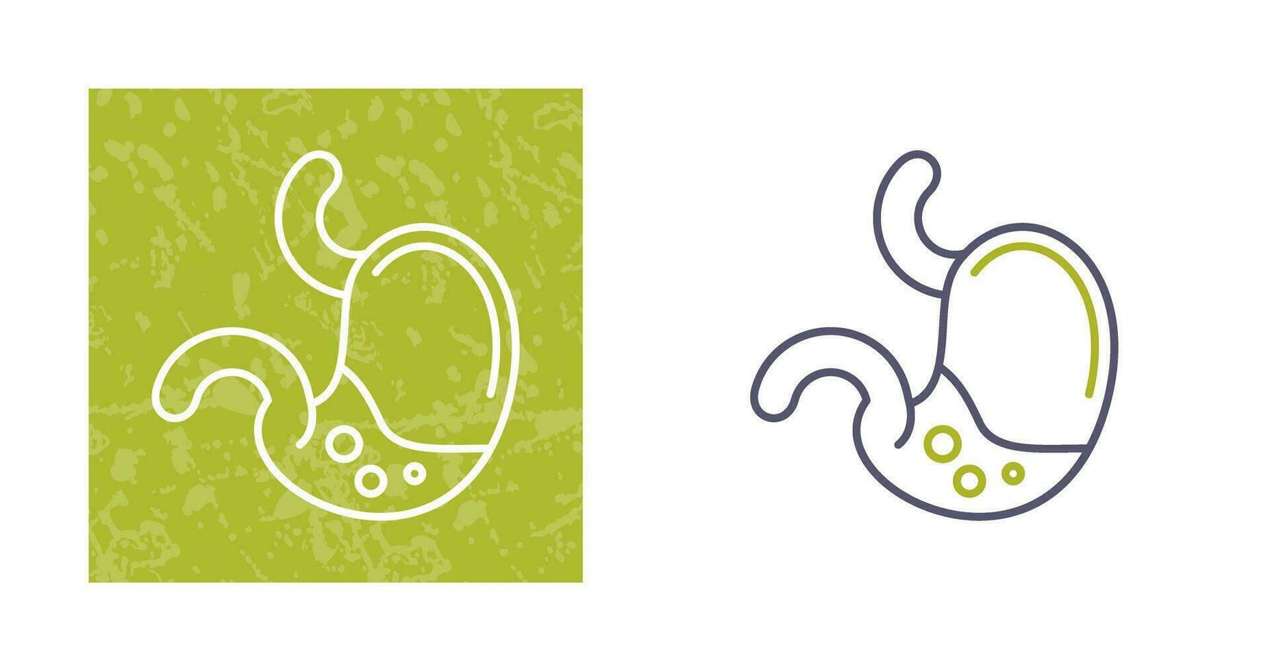 Stomach Vector Icon