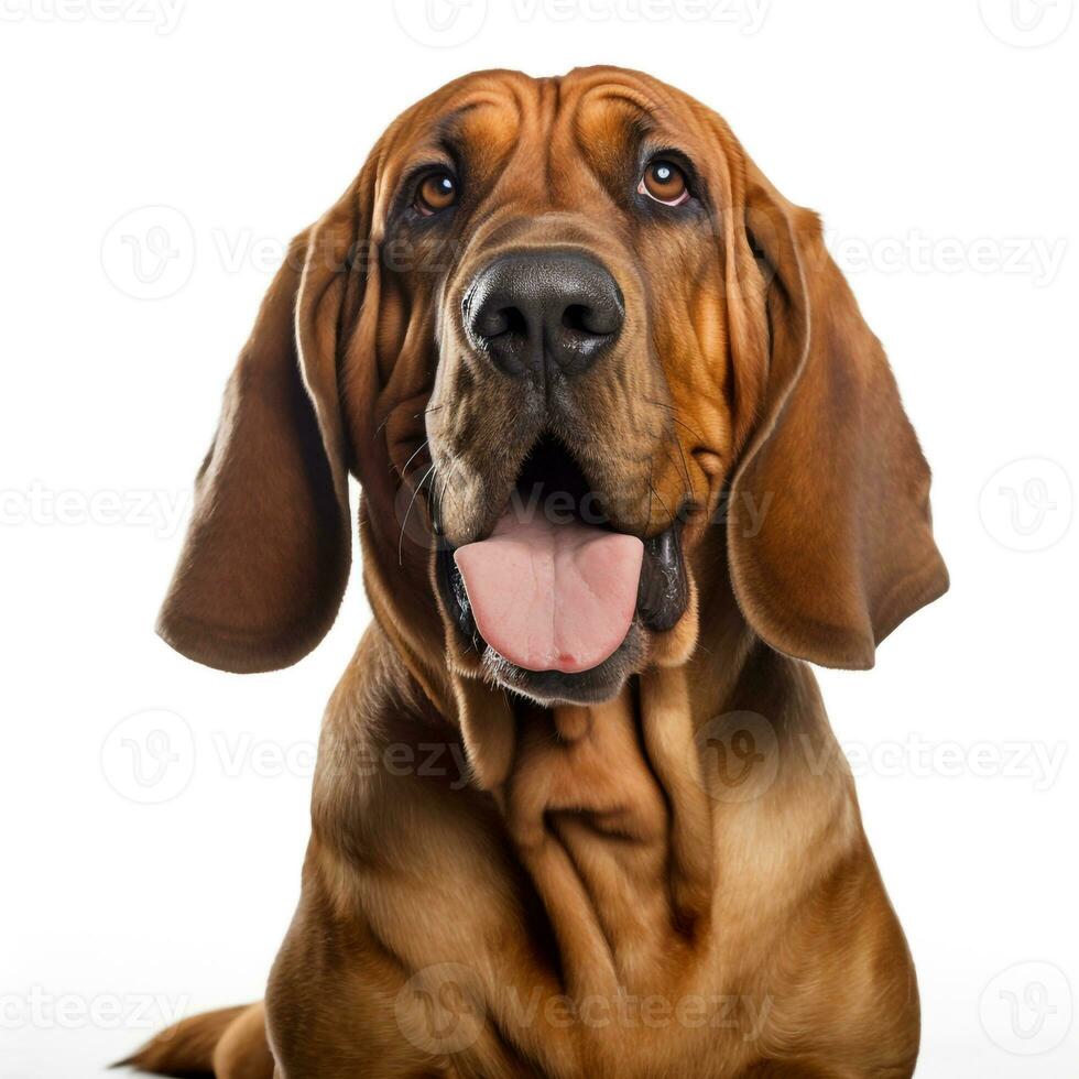 Abstract Dog Puppy Watercolor Art Portrait Colorful White Background AI Generative photo