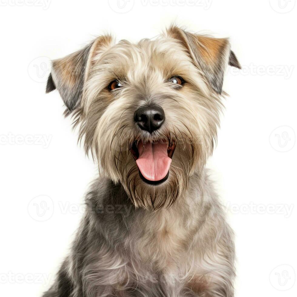 Abstract Dog Puppy Watercolor Art Portrait Colorful White Background AI Generative photo
