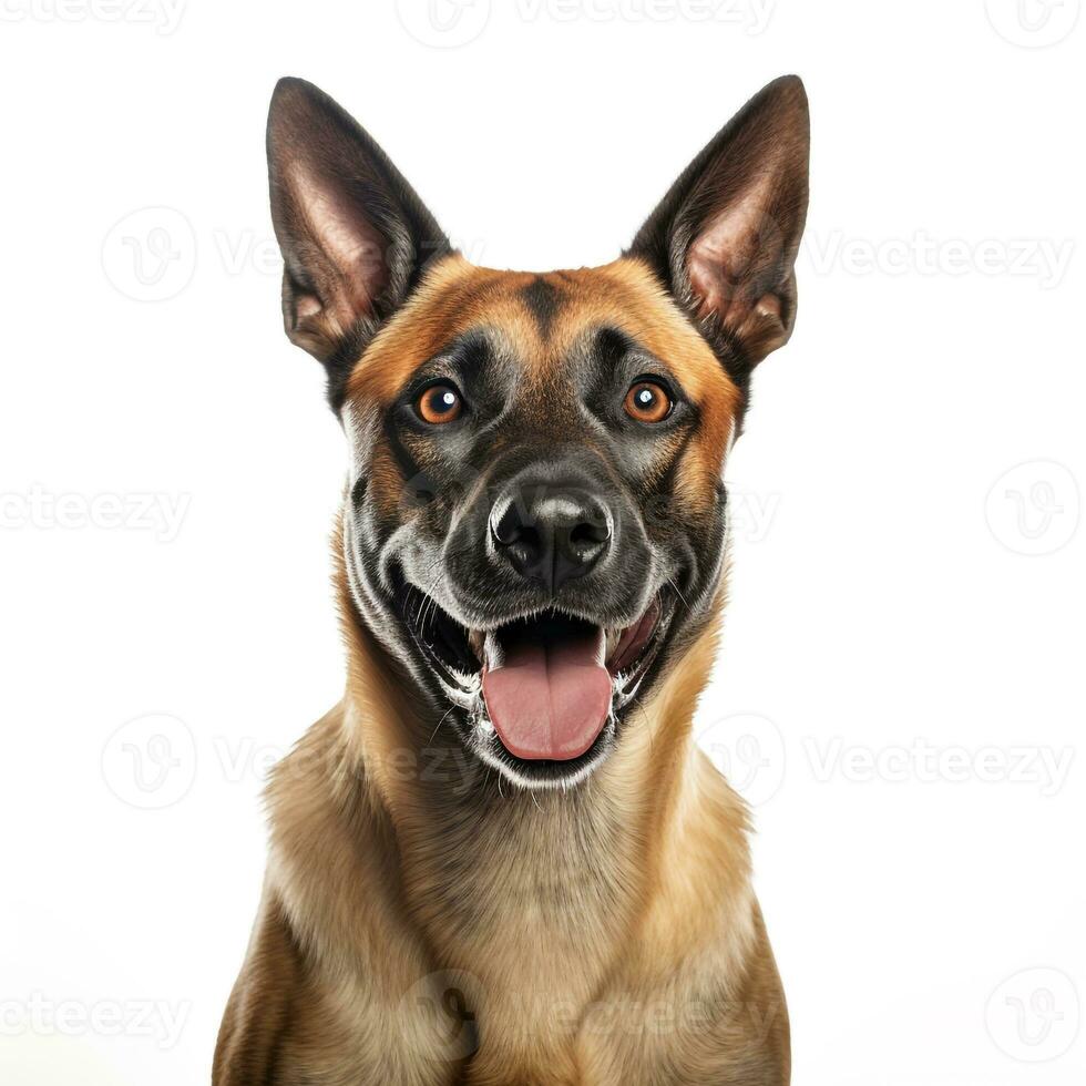 Abstract Dog Puppy Watercolor Art Portrait Colorful White Background AI Generative photo