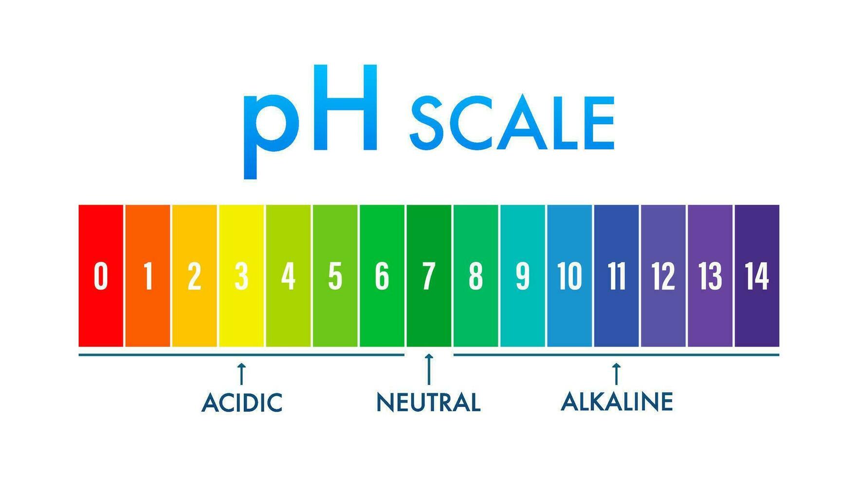 pH value scale meter. pH analysis chemical scale value test. Vector stock illustration