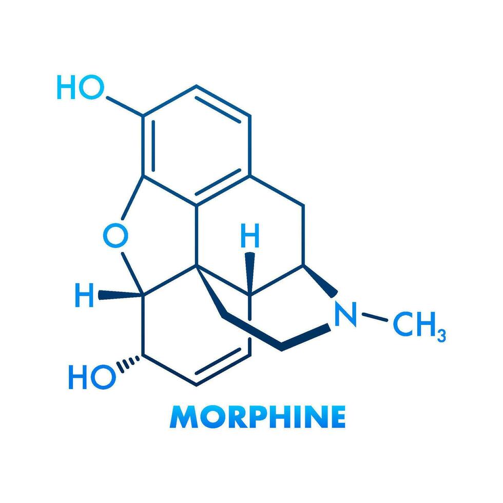 Morphine concept chemical formula icon label, text font vector illustration.