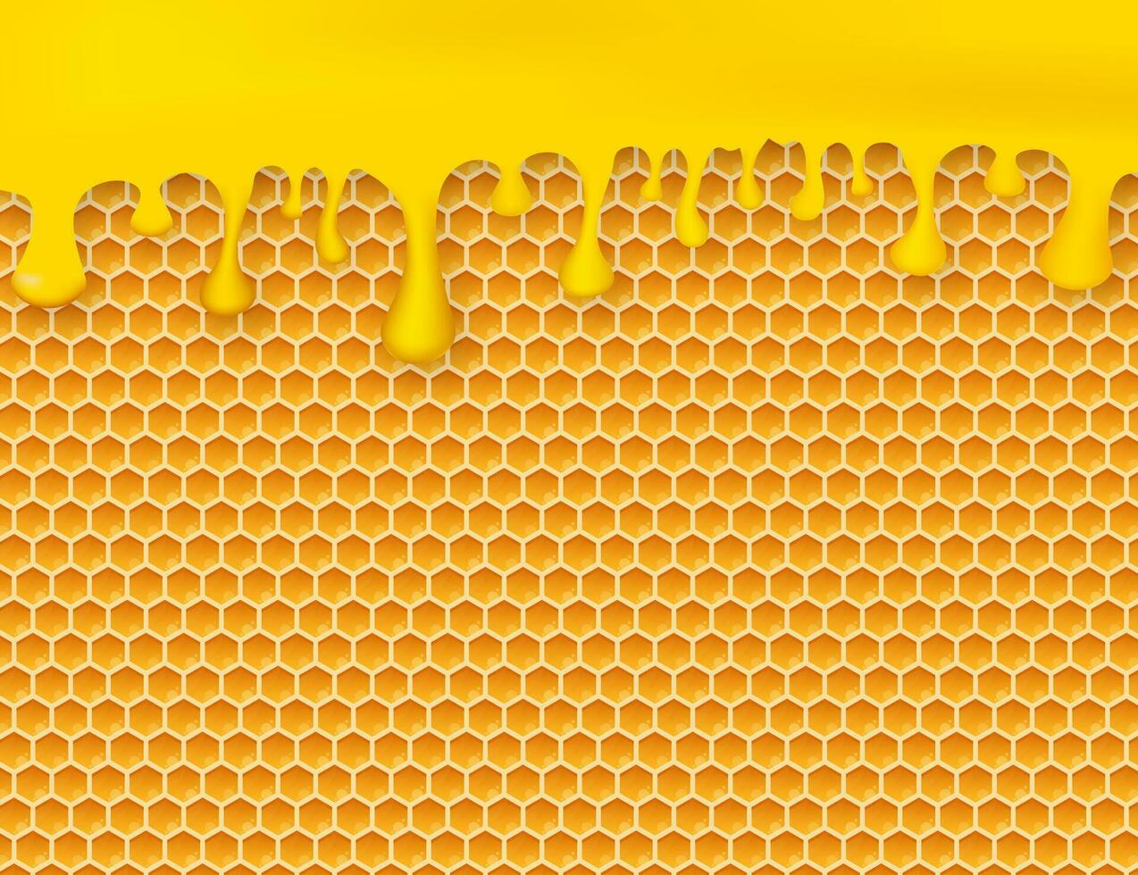 Honeycomb and honey. Monochrome honey pattern. Vector stock illustration