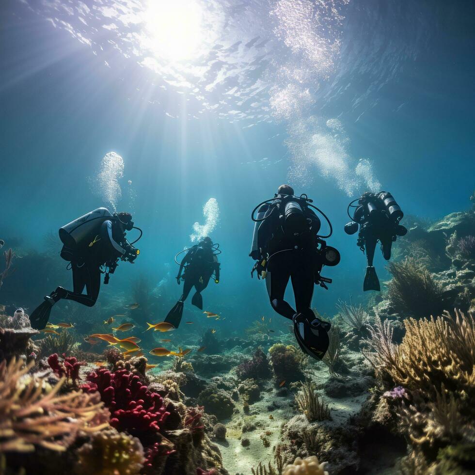 Coral reef conservation. Divers explore a colorful underwater world photo