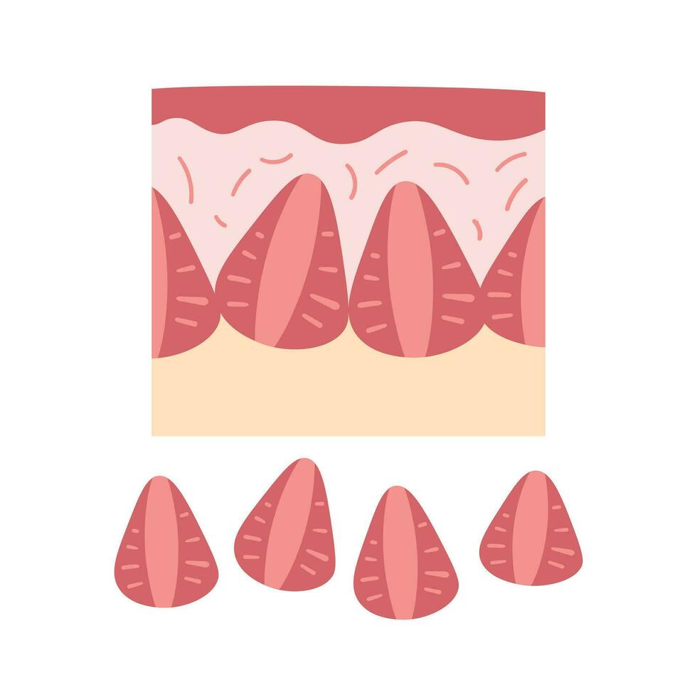 rectángulo fresa pastel rebanada con mermelada en parte superior vector