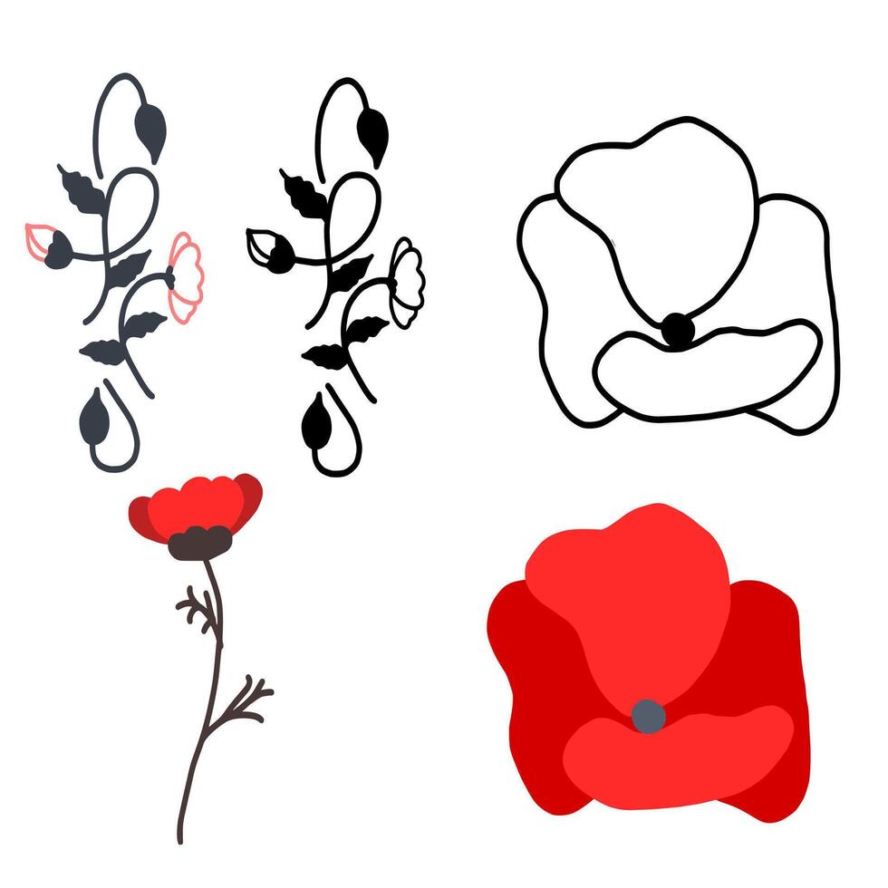 Poppy Flowers Set Illustration Vector Image