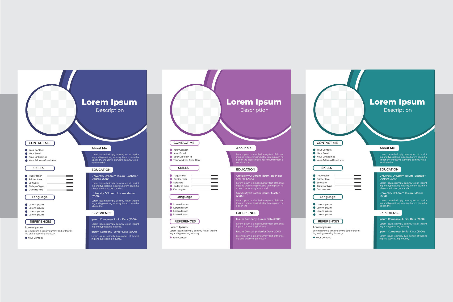 Modern Professional Resume Design - Modern Professional Resume Design Template Vector